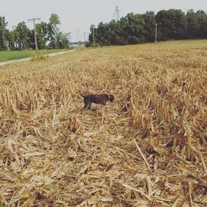 Meet your Posher, Zachary